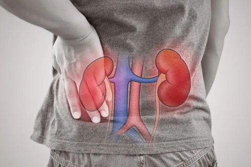 Ba món ăn giúp bồi bổ thận: Ăn 3 ngày/lần, cải thiện sức khỏe, tránh biến chứng