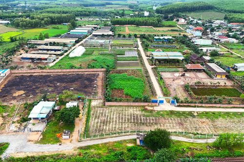 Xử lý sai phạm tại dự án rau an toàn: UBND tỉnh Bình Định ra chỉ đạo 'nóng'
