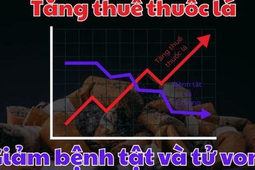 Tăng thuế thuốc lá, giải pháp hiệu quả cứu sống nhiều người, cân bằng ngân sách cho phát triển