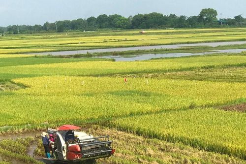 Gỡ vướng thủ tục cho các sản phẩm nông nghiệp