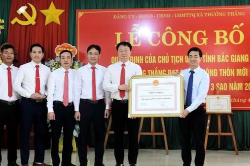 Bắc Giang: xã Thường Thắng đạt chuẩn nông thôn mới nâng cao