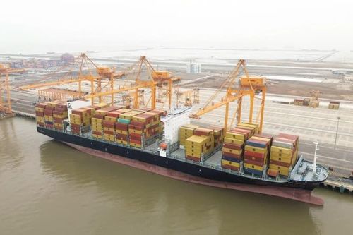 Hải Phòng đón chuyến tàu thử nghiệm đầu tiên của hãng Mediterranean Shipping Company S.A