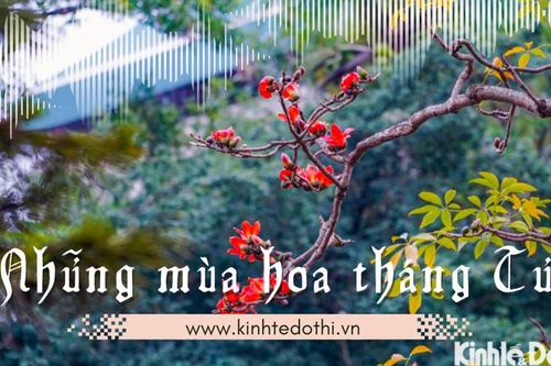 Những mùa hoa tháng Tư