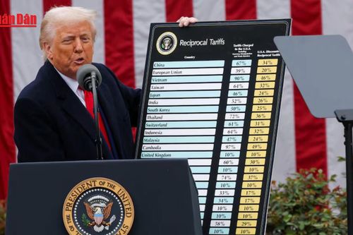Ông Donald Trump bị tố 'vi hiến' với chính sách thuế quan mới