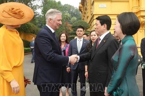 Nhà vua và Hoàng hậu Vương quốc Bỉ kết thúc tốt đẹp chuyến thăm Việt Nam
