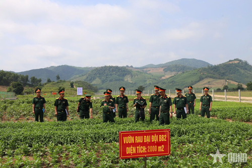 Đơn vị đại diện Bộ CHQS tỉnh Phú Yên tham gia hội thi vườn rau xanh, sạch, đẹp