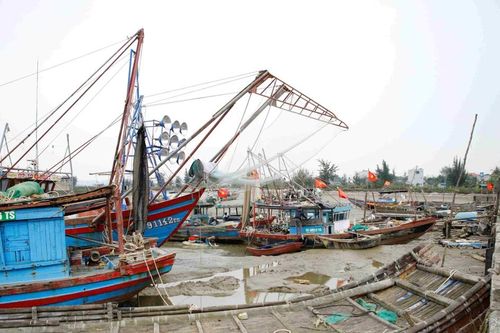 Ngư dân mắc cạn trong cảng cá