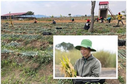 Bên trong trang trại 14ha của Quang Linh Vlogs ở Châu Phi