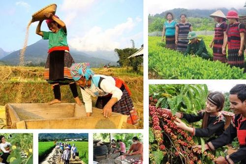Bảo đảm liên tục trong thực hiện các chương trình mục tiêu quốc gia khi sắp xếp đơn vị hành chính