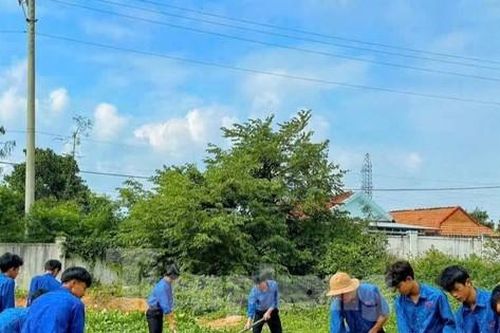 Tuổi trẻ Đắk Lắk góp công xây dựng những ngôi nhà mới