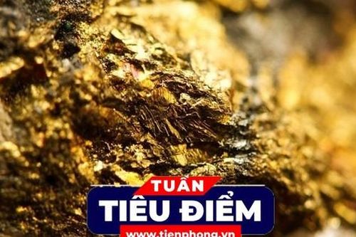 Tiêu điểm: 40 mỏ vàng mới tìm thấy sẽ được khai thác như thế nào?
