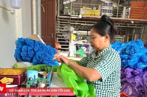 Nghị lực thoát nghèo, mạnh dạn làm giàu của người phụ nữ dị tật