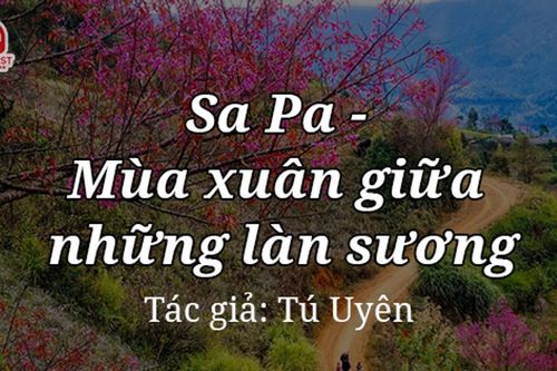 Tản văn hay: Sa Pa - Mùa xuân giữa những làn sương