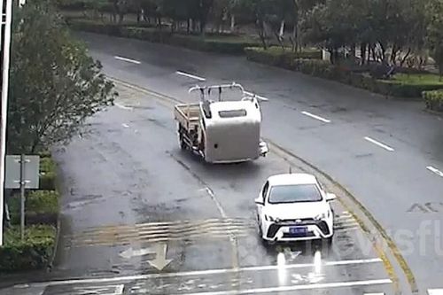 Xe tải gập đầu sau cú phanh gấp, tài xế mất lái đâm gãy cây xanh
