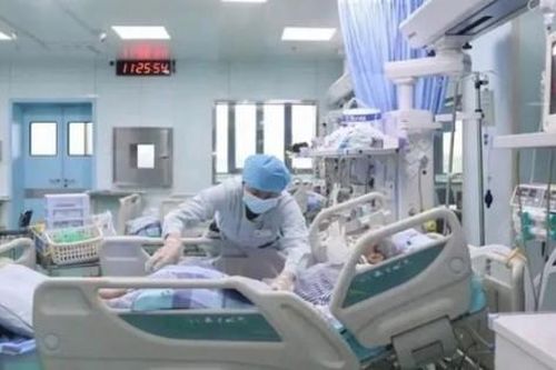 TQ: Gia đình 6 người nhập viện sau khi ăn canh gà thảo dược