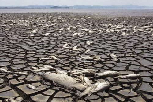Trái Đất có thể nóng lên tới 7°C vào năm 2200