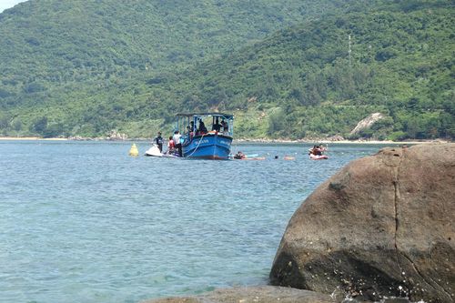 Bảo đảm an toàn cho du khách và môi trường rừng Sơn Trà