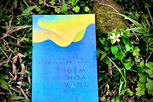 Sắc hoa của tấm lòng