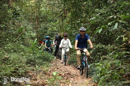 Tour trekking khám phá rừng Gia Canh ở Đồng Nai có gì độc đáo để thử trải nghiệm trong kỳ nghỉ lễ này?