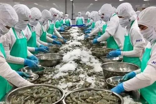VASEP đề xuất giảm thuế nhập khẩu thủy sản Mỹ về 0%