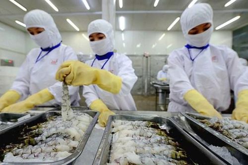 Agrex (AGX): Lợi nhuận năm 2024 tăng vọt 147%, cổ phiếu diễn biến tích cực