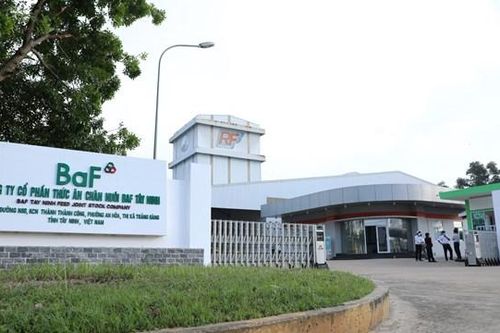 Lãi tăng gần 10 lần, BAF Việt Nam (BAF) vẫn đề xuất không chia cổ tức, vừa thâu tóm thêm công ty chăn nuôi