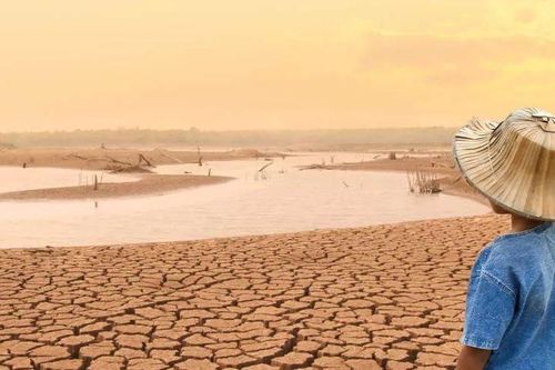 Tòa Thẩm kế Brazil đưa ra sáng kiến cải thiện chính sách công về môi trường và khí hậu