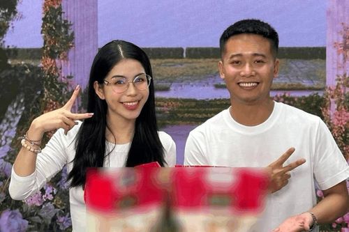 Quang Linh Vlog, Hằng Du Mục sở hữu những doanh nghiệp nào trước khi bị bắt?