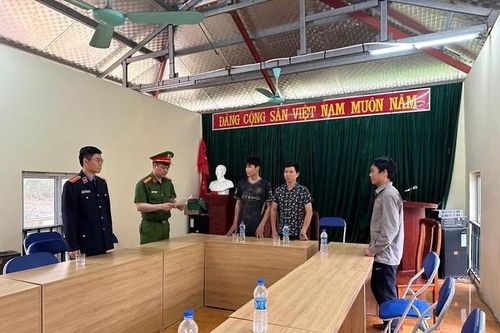 Khởi tố 2 đối tượng khai thác gỗ trái phép tại rừng phòng hộ