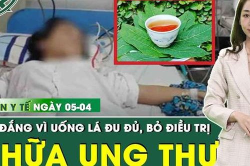 Bản Tin Y Tế 5/4: Uống lá đu đủ chữa ung thư, người phụ nữ đánh mất cơ hội sống