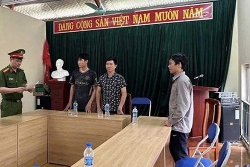 Hai thanh niên liều lĩnh làm việc cấm trong rừng