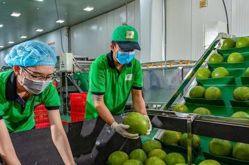 Mỹ áp thuế 46% với hàng Việt: đâu là yếu tố 'sống còn' cho doanh nghiệp