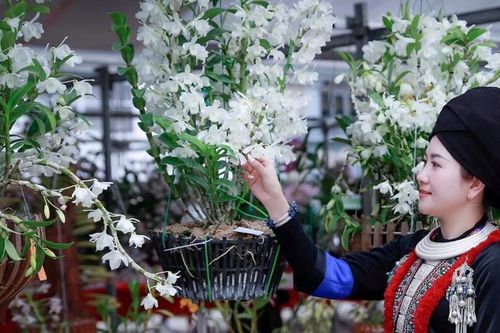 'Hương sắc Lai Châu' - điểm nhấn hấp dẫn du khách đến với Lai Châu