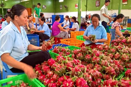 Tập trung xuất khẩu sản phẩm nông sản có giá trị cao sang thị trường Bắc Âu