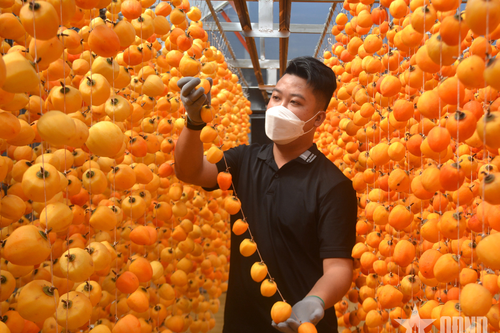 Tháng Tư trên những miền đất anh hùng