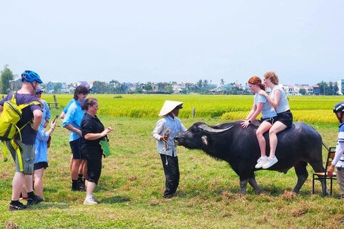 Du lịch làng quê vươn ra thế giới