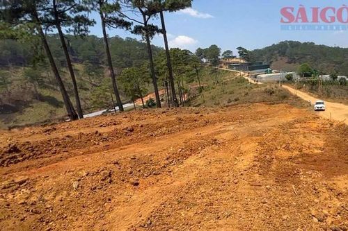 Đà Lạt: Ngang nhiên san ủi đất rừng giữa ban ngày