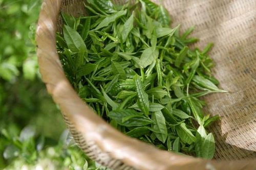 11 thực phẩm yêu thích của những người thọ nhất thế giới