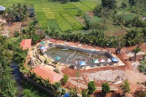 Xây dựng 4 công trình trái phép trên đất trồng lúa ở TP. Buôn Ma Thuột