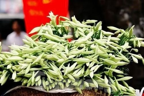 Hoa loa kèn rộn ràng khắp phố Hà Nội
