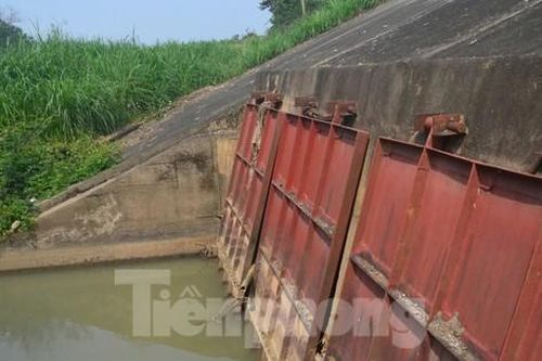 Cống chống úng cho 700 ha đất sản xuất nứt nẻ, không thể tự đóng mở