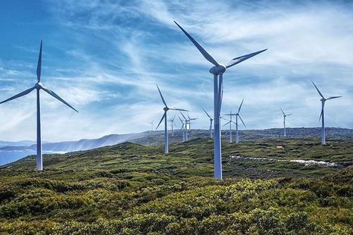 Trà Vinh: 5 dự án điện gió sẽ cung cấp 272 MW điện ra thị trường