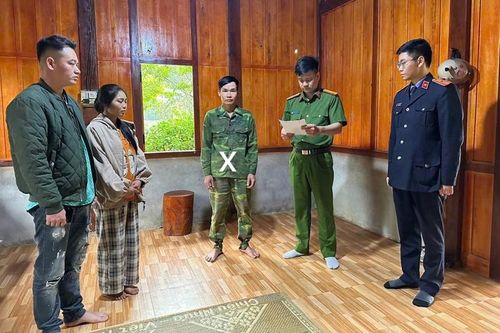 Phê chuẩn khởi tố hai thanh niên khai thác gỗ trái phép