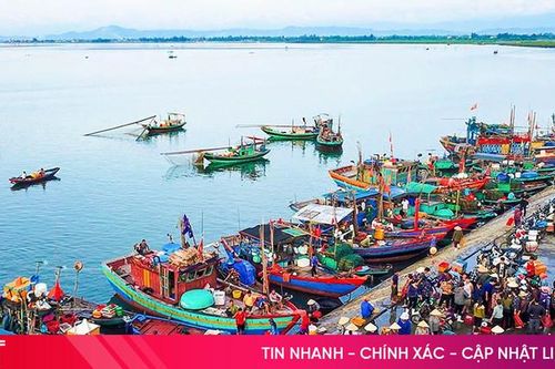 Mùa 'săn' sản vật biển ở Hà Tĩnh