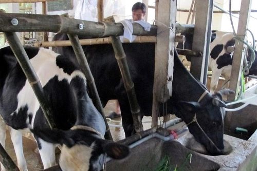 Việt Nam thúc đẩy hợp tác với Canada trong bối cảnh Mỹ vừa công bố áp thuế quan