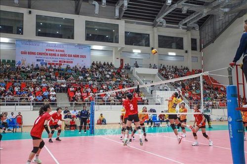 Trên 400 VĐV tranh tài tại Vòng bảng Giải bóng chuyền hạng A Quốc gia