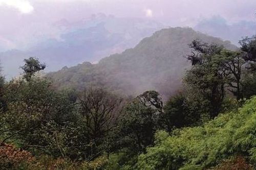 Loài vật mới quý hiếm chưa từng ghi nhận trên thế giới, vừa được phát hiện ở Việt Nam