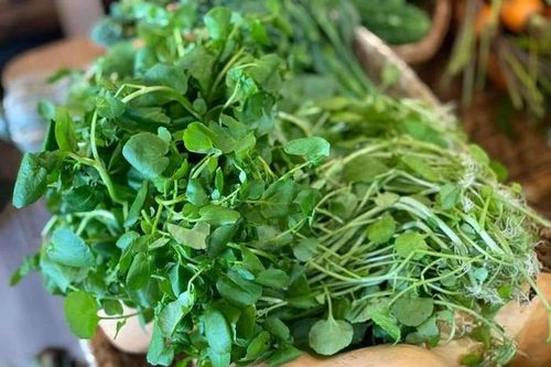 4 loại rau cải được Mỹ xếp quý như vàng, chợ Việt Nam bán vài nghìn đồng/bó