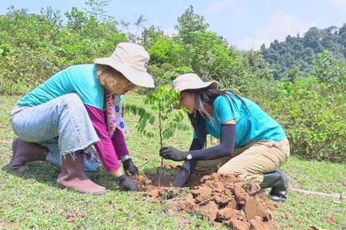 Sản xuất nông nghiệp quý 1/2025: Trồng rừng tăng mạnh; nông, thủy sản đẩy mạnh ứng dụng công nghệ cao