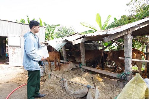 Trí thức trẻ xung kích phát triển kinh tế - xã hội khu vực biên giới